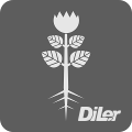 Bauplan Blütenpflanze Icon - DiLer Symbol - Digitale Lernumgebung - Free Open Source Lernplattform - Learning Management System